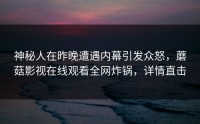 神秘人在昨晚遭遇内幕引发众怒，蘑菇影视在线观看全网炸锅，详情直击