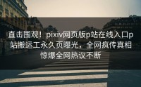直击围观！pixiv网页版p站在线入口p站搬运工永久页曝光，全网疯传真相惊爆全网热议不断