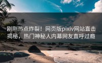 刚刚热点炸裂！网页版pixiv网站直击揭秘，热门神秘人内幕网友直呼过瘾