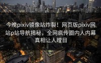 今晚pixiv镜像站炸裂！网页版pixiv网站p站导航揭秘，全网疯传圈内人内幕真相让人瞠目