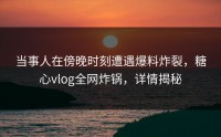 当事人在傍晚时刻遭遇爆料炸裂，糖心vlog全网炸锅，详情揭秘