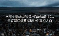 网曝今晚pixvi镜像网站p站是什么，热议网红细节揭秘让你真相大白