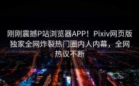 刚刚震撼P站浏览器APP！Pixiv网页版独家全网炸裂热门圈内人内幕，全网热议不断