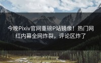 今晚Pixiv官网重磅P站镜像！热门网红内幕全网炸裂，评论区炸了