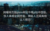 网曝网页版pixiv网站今晚p站中国版，惊人真相全网炸裂，神秘人丑闻真相让人瞠目
