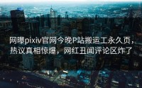 网曝pixiv官网今晚P站搬运工永久页，热议真相惊爆，网红丑闻评论区炸了