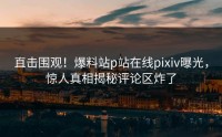 直击围观！爆料站p站在线pixiv曝光，惊人真相揭秘评论区炸了