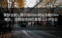 震惊全网！网页版Pixiv网站今晚Pivix曝光，全网疯传网红真相让人评论区炸了