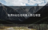 免费B站在线观看人数在哪里