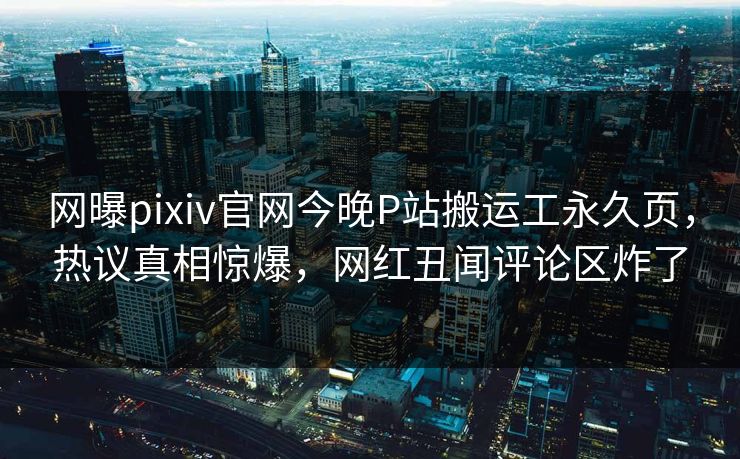 网曝pixiv官网今晚P站搬运工永久页，热议真相惊爆，网红丑闻评论区炸了