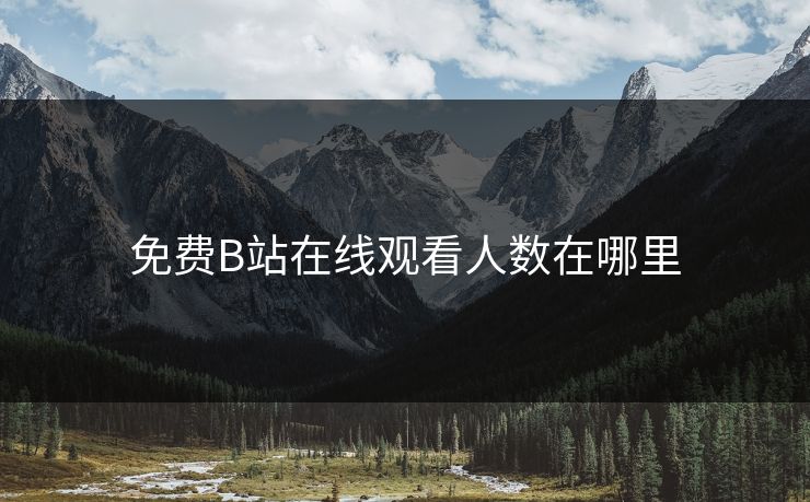 免费B站在线观看人数在哪里