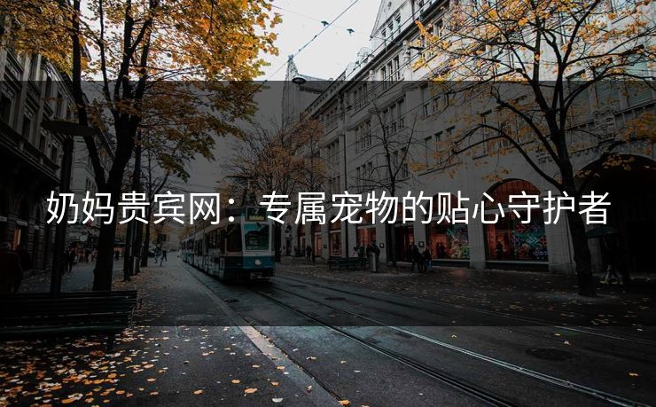 奶妈贵宾网：专属宠物的贴心守护者