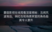 蘑菇影视在线观看深度揭秘：丑闻风波背后，网红在机场贵宾室的角色极其令人意外
