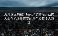 海角深度揭秘：hjsq风波背后，业内人士在机场贵宾室的角色极其令人意外