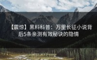 【震惊】黑料科普：万里长征小说背后5条亲测有效秘诀的隐情