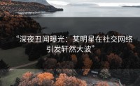 “深夜丑闻曝光：某明星在社交网络引发轩然大波”