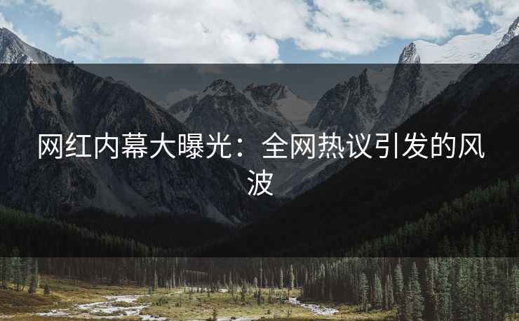 网红内幕大曝光：全网热议引发的风波