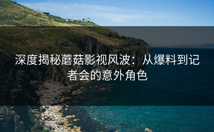 深度揭秘蘑菇影视风波：从爆料到记者会的意外角色