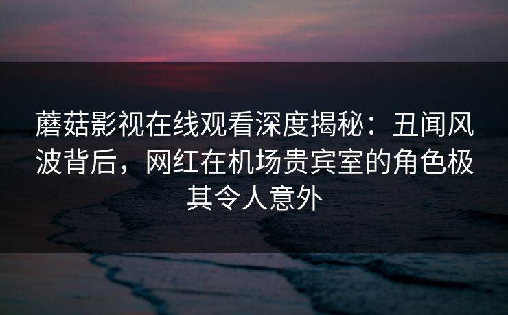 蘑菇影视在线观看深度揭秘：丑闻风波背后，网红在机场贵宾室的角色极其令人意外