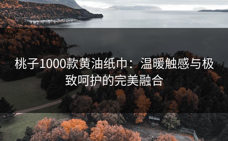 桃子1000款黄油纸巾：温暖触感与极致呵护的完美融合