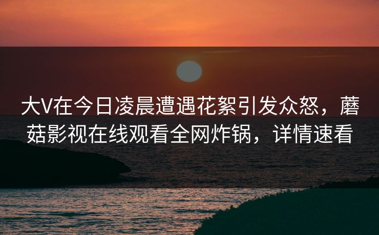 大V在今日凌晨遭遇花絮引发众怒，蘑菇影视在线观看全网炸锅，详情速看